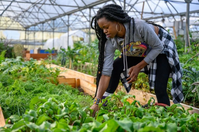 Farming for Change: Black Womxn Farmers Fight the Pandemic With a Food Revolution