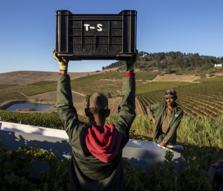 Black Farmers Get New Life From Democrats Health And Climate Bill, But It’s Bittersweet